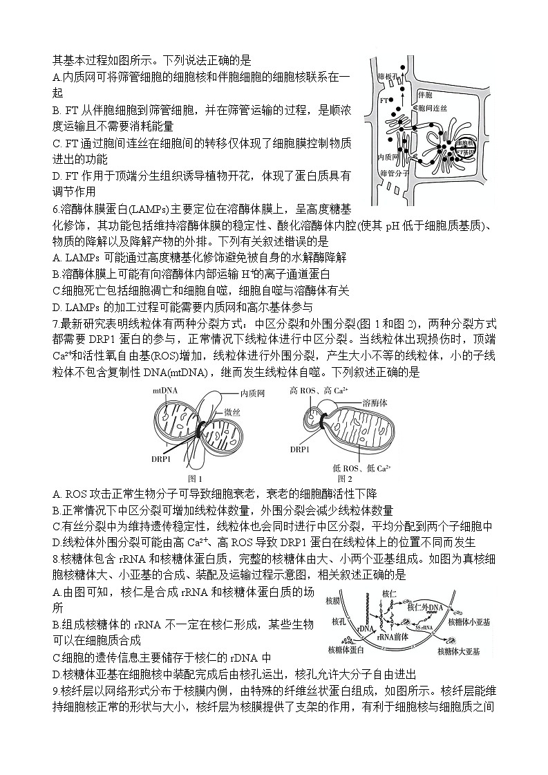 生物试卷（高一入学Y）第2页