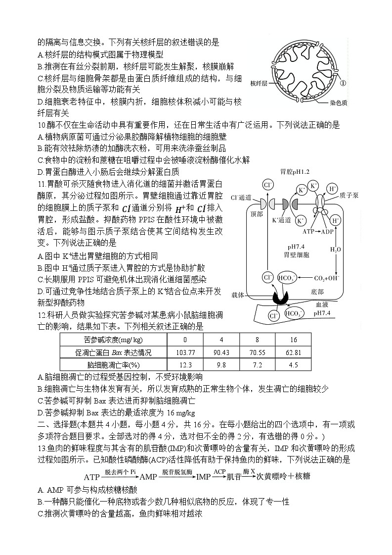 生物试卷（高一入学Y）第3页