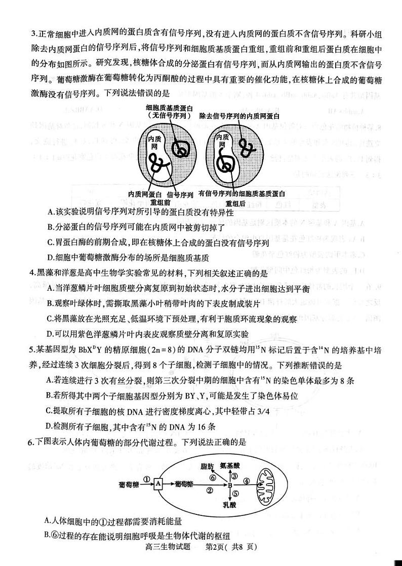 河南省信阳市2024-2025学年高三上学期1月第二次教学质量检测生物试题第2页