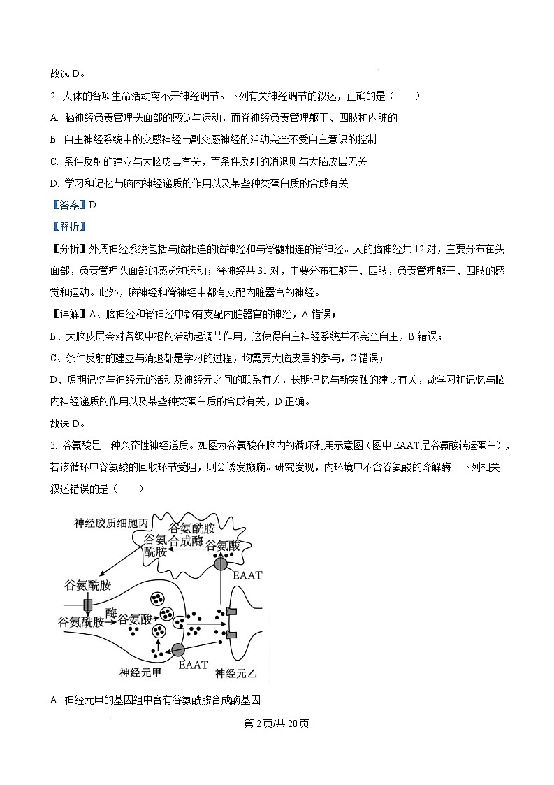 河南省平顶山市2023-2024学年高二下学期期末考试生物试题  Word版含解析第2页
