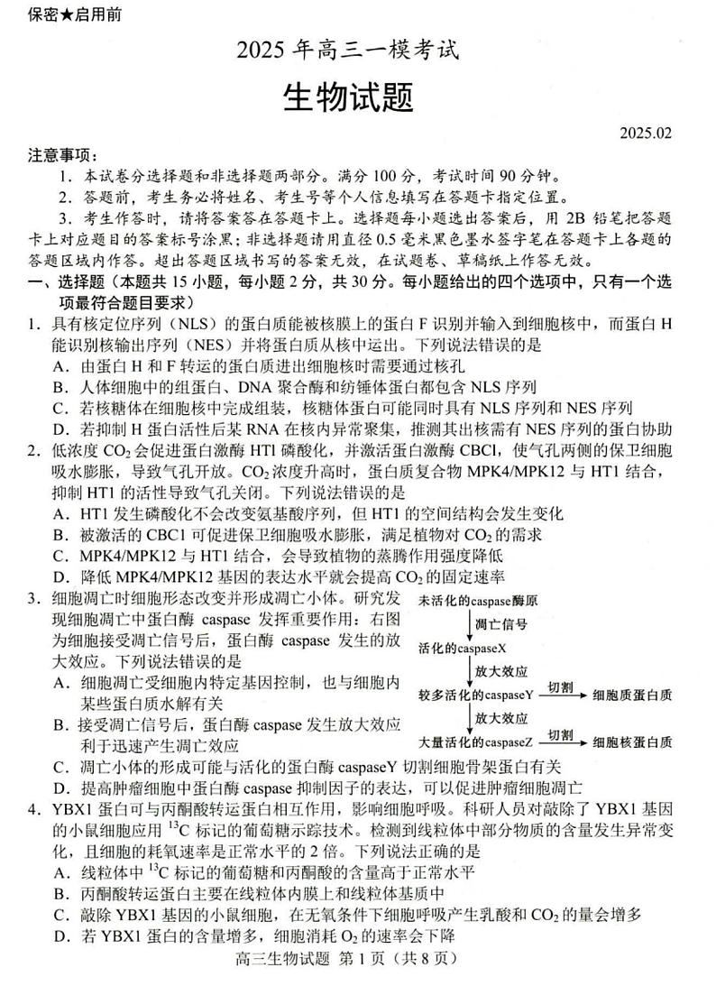 山东省菏泽市2025年高三一模考试 生物试题及答案第1页