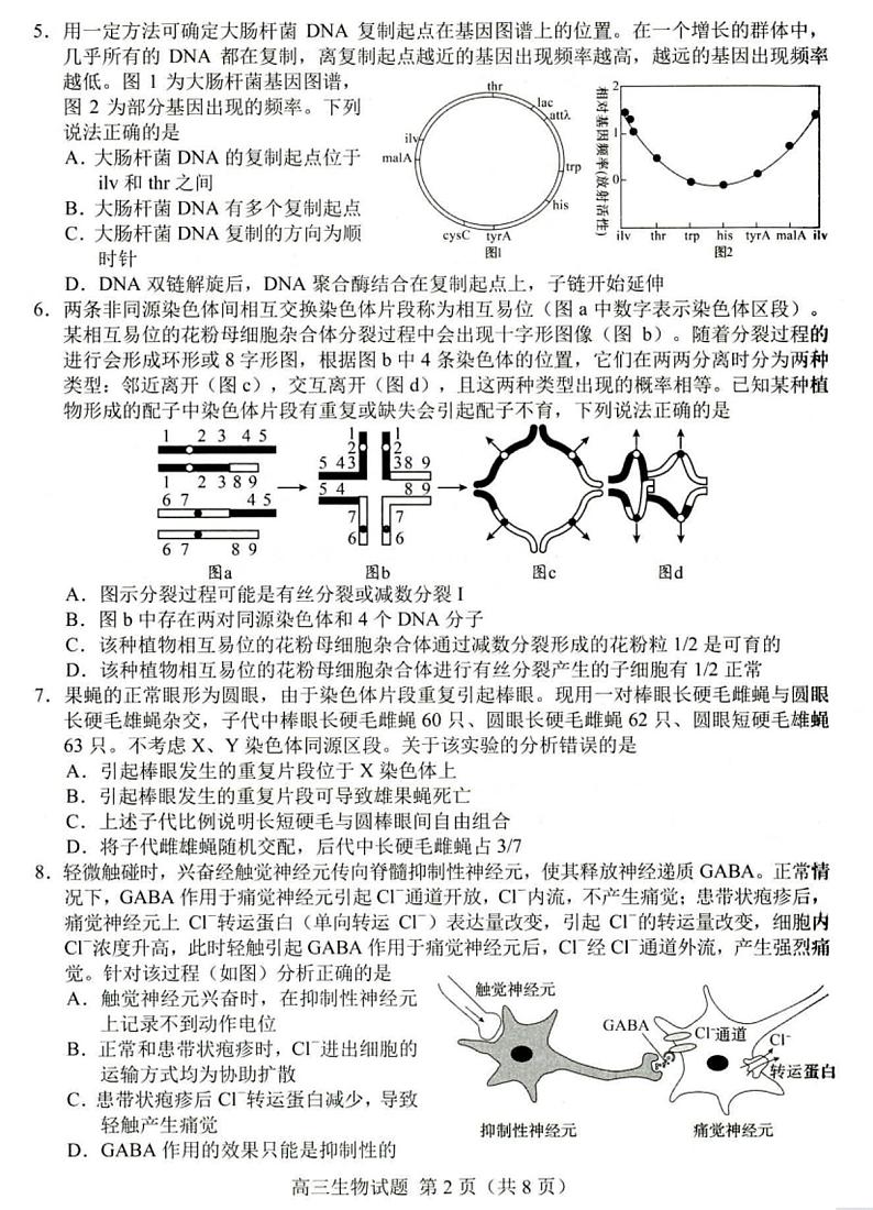 山东省菏泽市2025年高三一模考试 生物试题及答案第2页