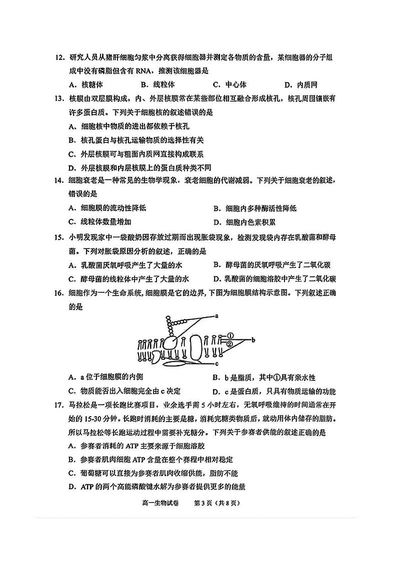 绍兴高一生物第3页