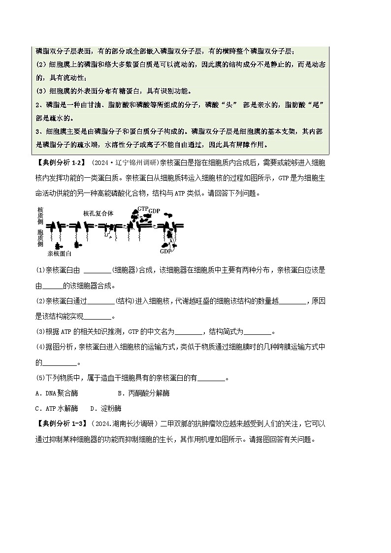 专题06 细胞代谢（原卷版）第3页