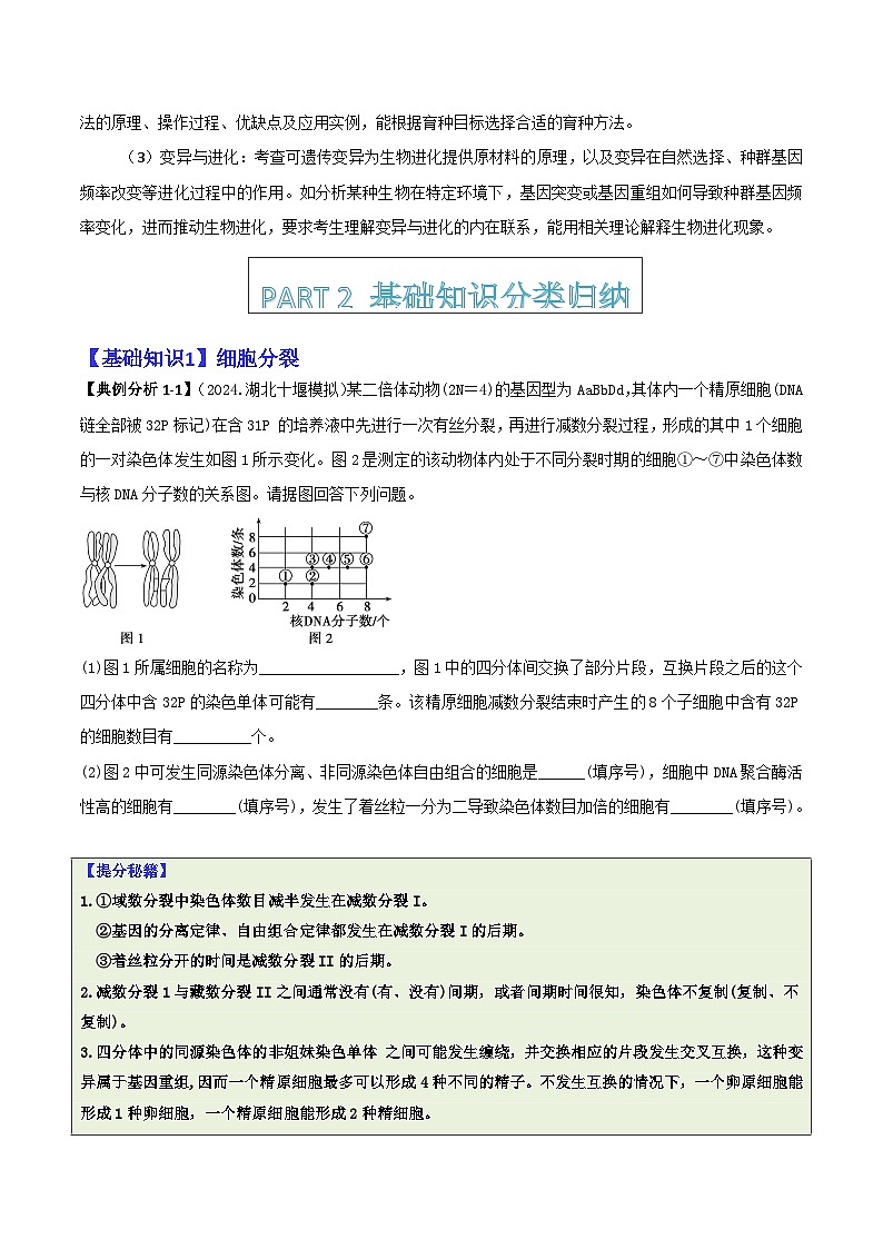 专题07  遗传规律与变异的综合运用（原卷版）第2页