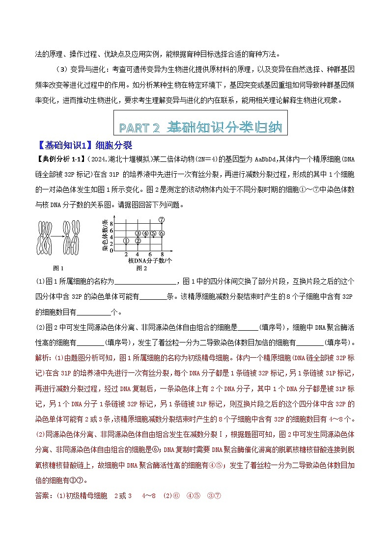 专题07  遗传规律与变异的综合运用（解析版）第2页