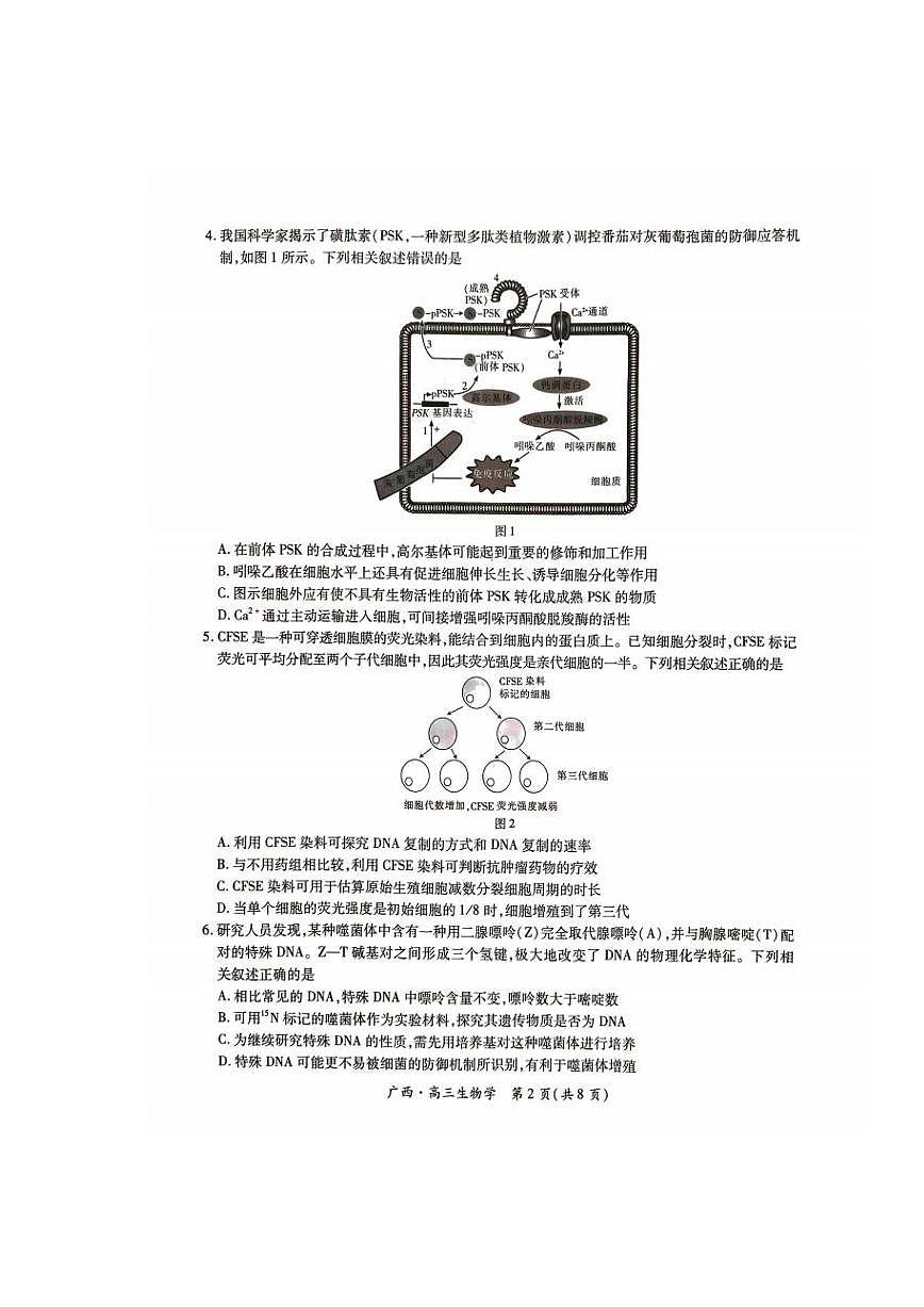 生物试卷                      【广西卷】广西壮族自治区上进联考2025届高三春季开学考（2.6-2.7）第2页