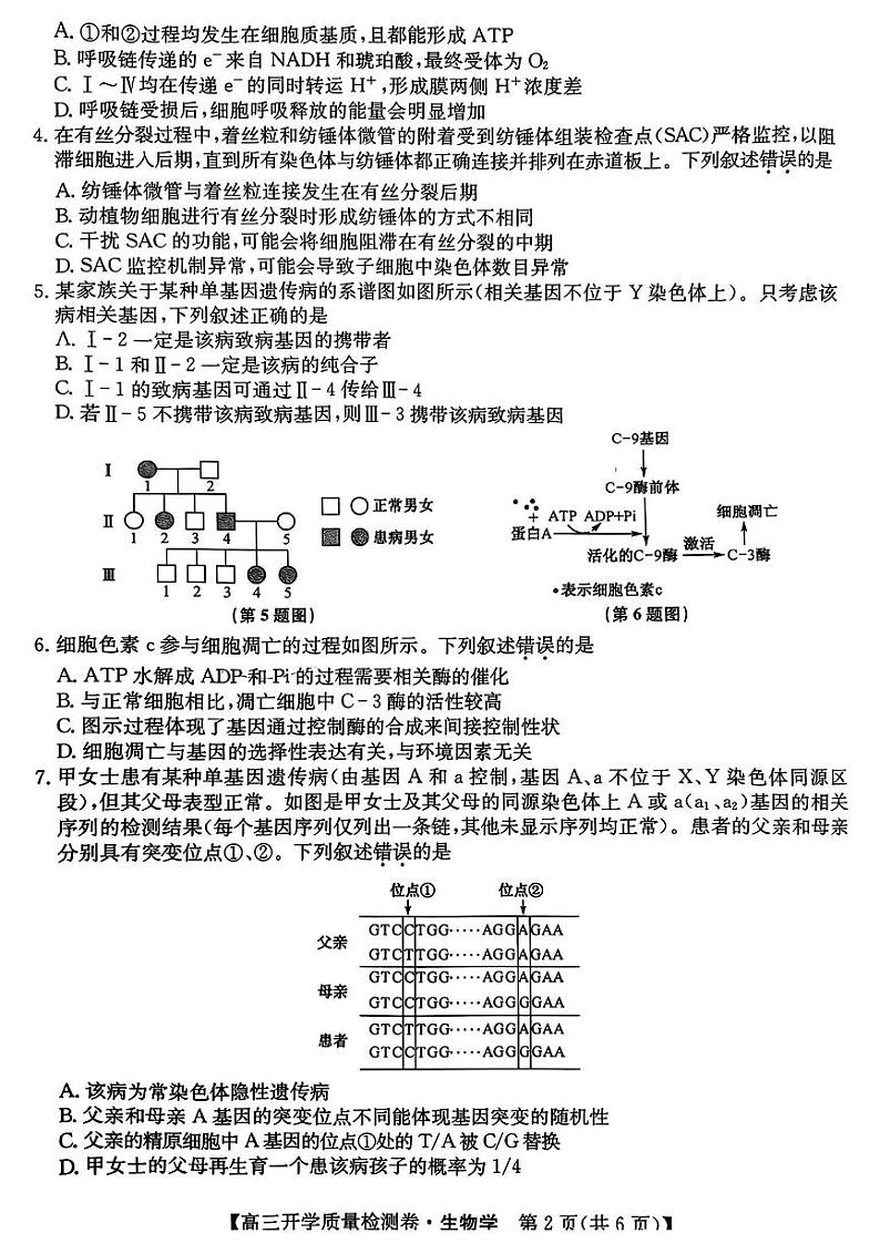 山西省卓越联盟2024-2025学年高三下学期2月开学质量检测生物试题+答案第2页