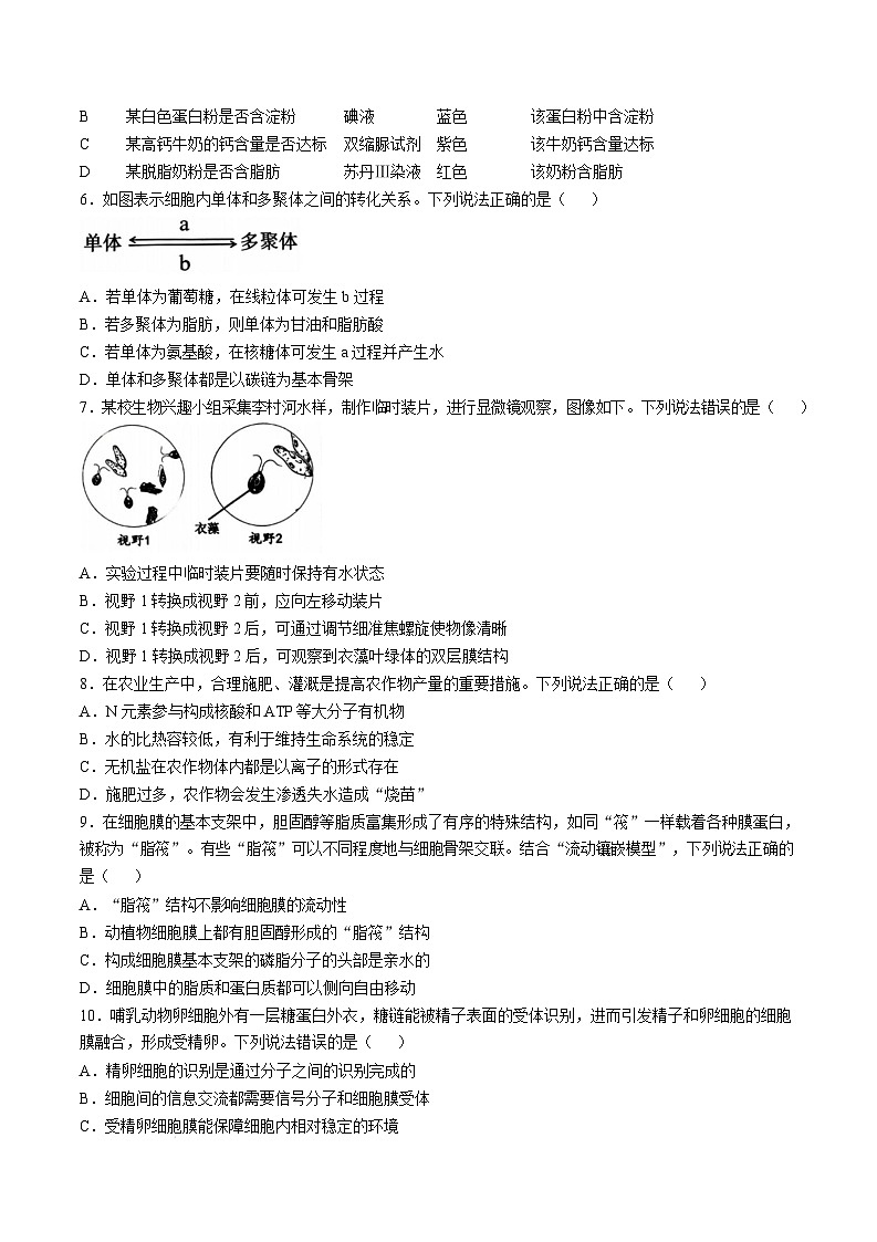 山东省青岛市2024-2025学年高一上学期期末考试生物试卷（Word版附答案）第2页