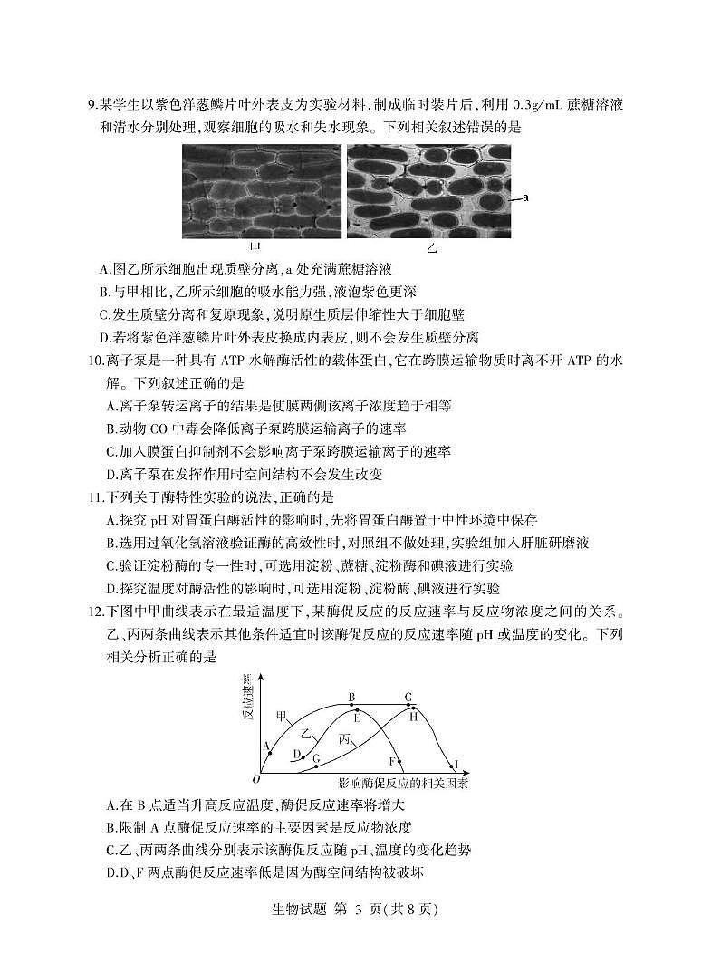 山东省临沂市2024-2025学年高一上学期1月期末考试生物试卷（PDF版附答案）第3页