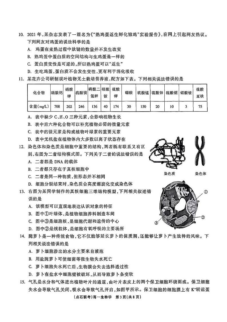 辽宁省凌源市2024-2025学年高一上学期期末考试生物试卷第3页