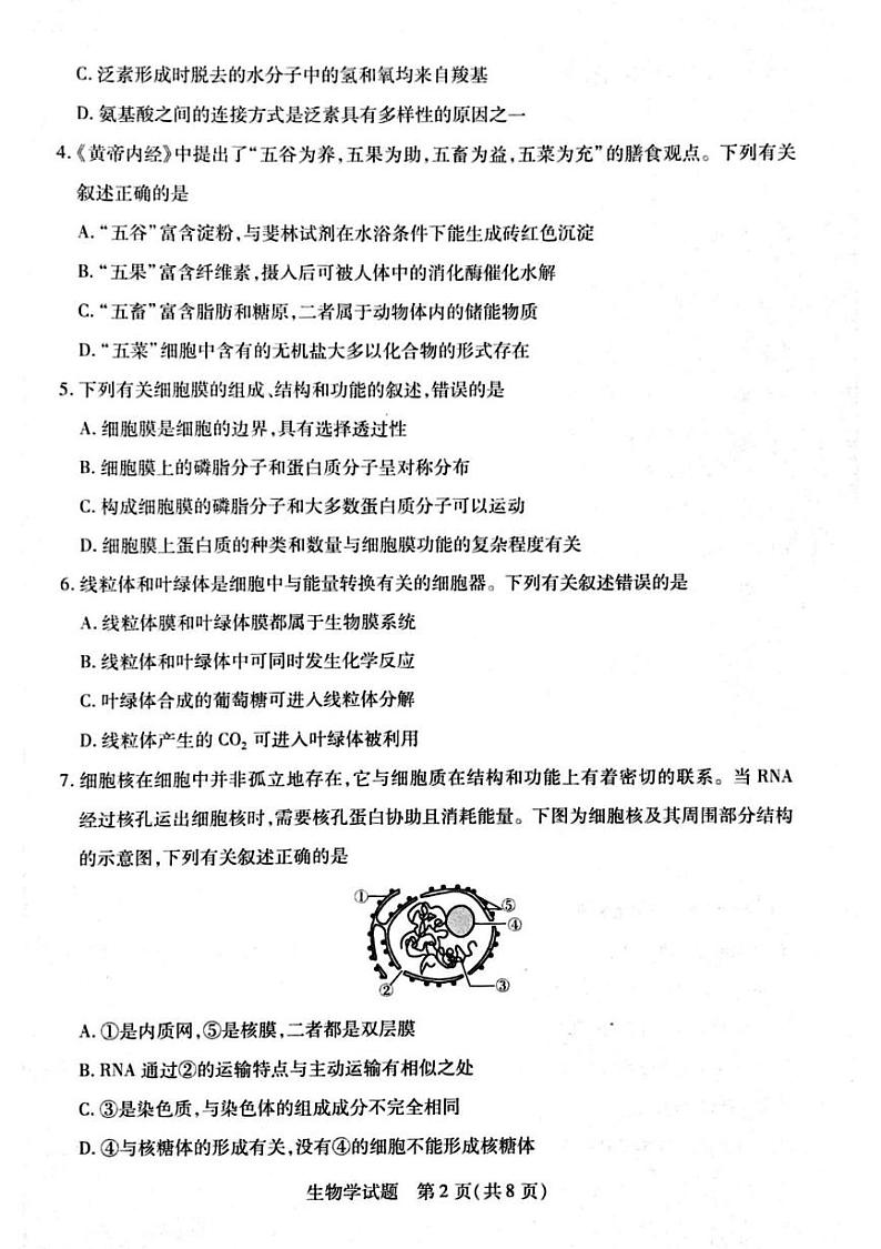 河南省周口市2024-2025学年高一上学期1月期末考试生物试卷（PDF版附解析）第2页