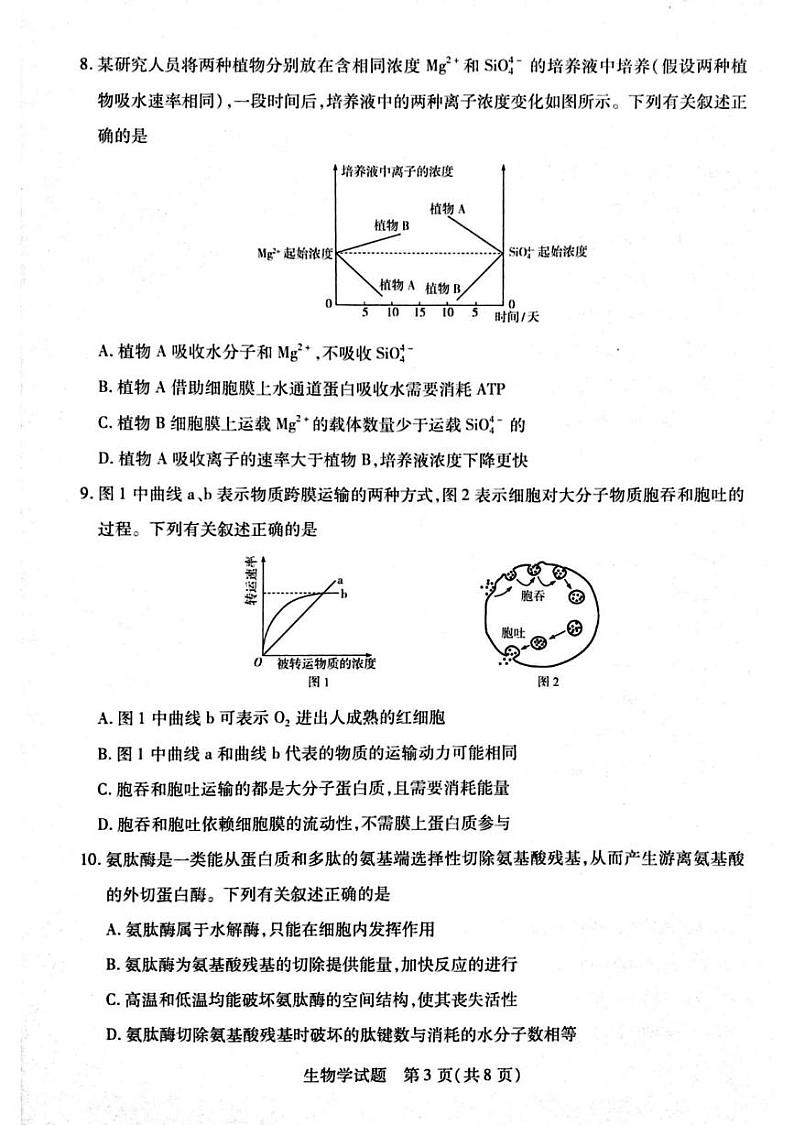 河南省周口市2024-2025学年高一上学期1月期末考试生物试卷（PDF版附解析）第3页