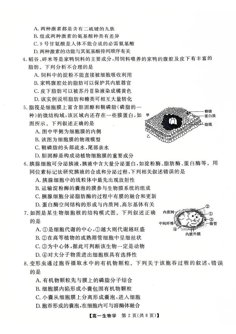 生物高一上学期期末考试试卷第2页