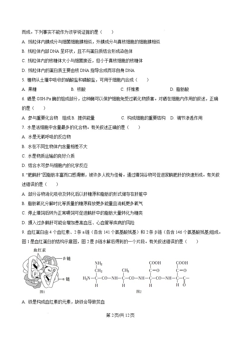广东省江门市2024-2025学年高一上学期1月期末考试生物试题  Word版无答案第2页
