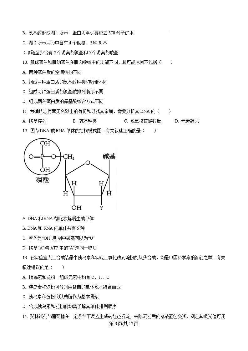 广东省江门市2024-2025学年高一上学期1月期末考试生物试题  Word版无答案第3页