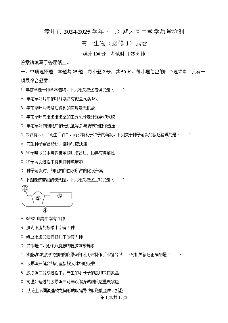 福建省漳州市2024-2025学年高一上学期期末考试生物试题  Word版无答案第1页