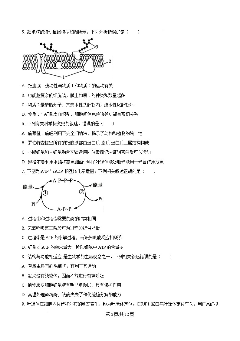 福建省漳州市2024-2025学年高一上学期期末考试生物试题  Word版无答案第2页