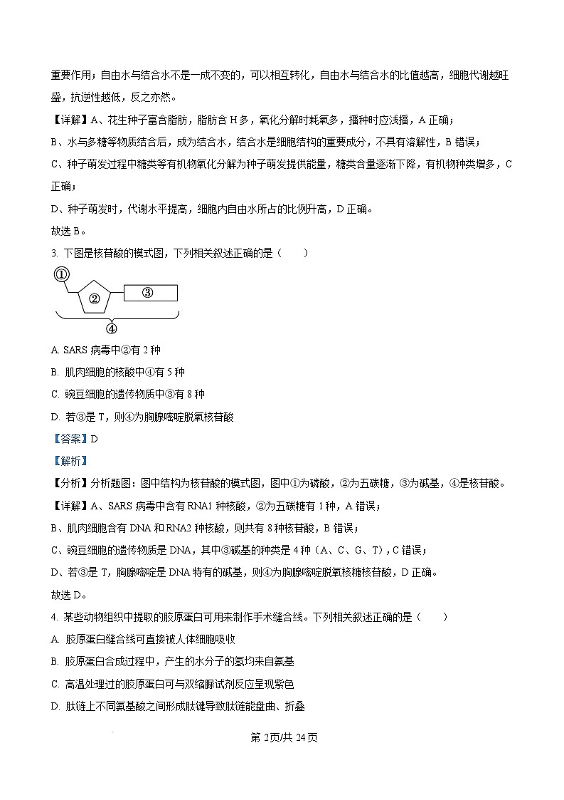 福建省漳州市2024-2025学年高一上学期期末考试生物试题  Word版含解析第2页