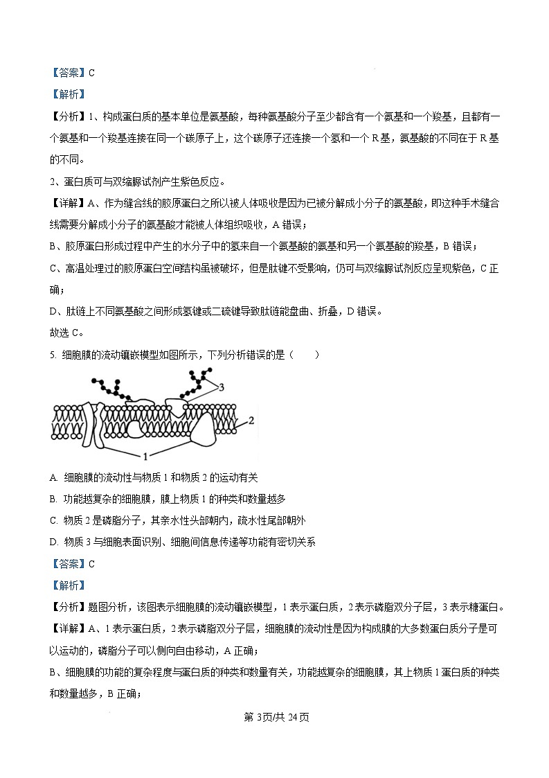 福建省漳州市2024-2025学年高一上学期期末考试生物试题  Word版含解析第3页