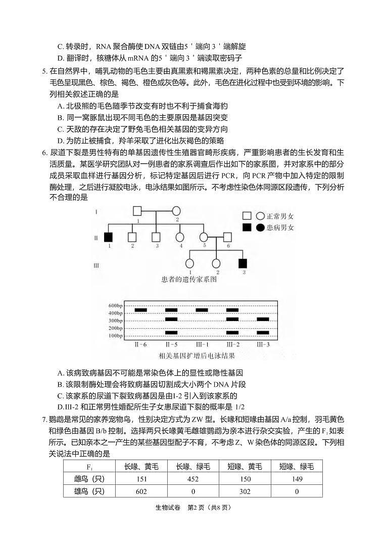 生物丨四川省德阳市高中2022级（2025届）高三下学期2月质量监测考试（二）（德阳二诊）生物试卷及答案第2页