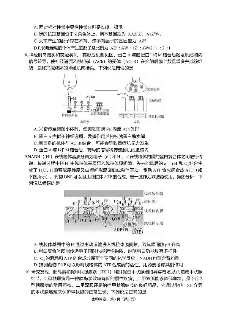 生物丨四川省德阳市高中2022级（2025届）高三下学期2月质量监测考试（二）（德阳二诊）生物试卷及答案第3页
