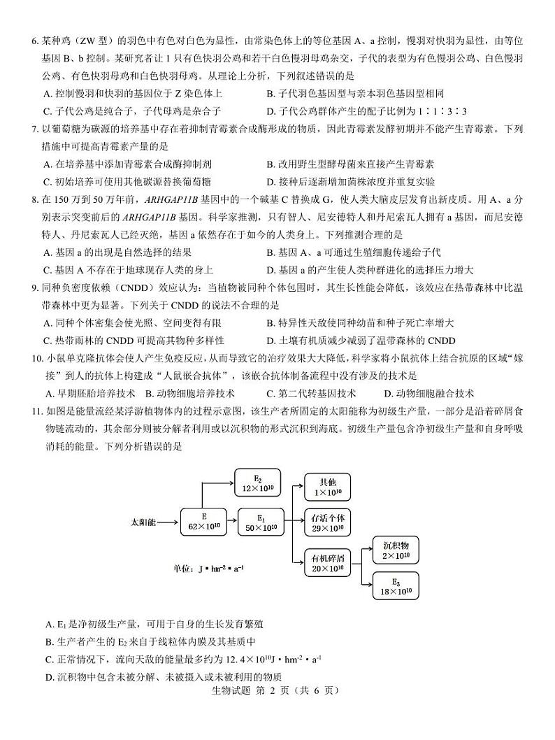 2025西北名校教研联盟高三下学期2月联考试题生物PDF版含解析第2页