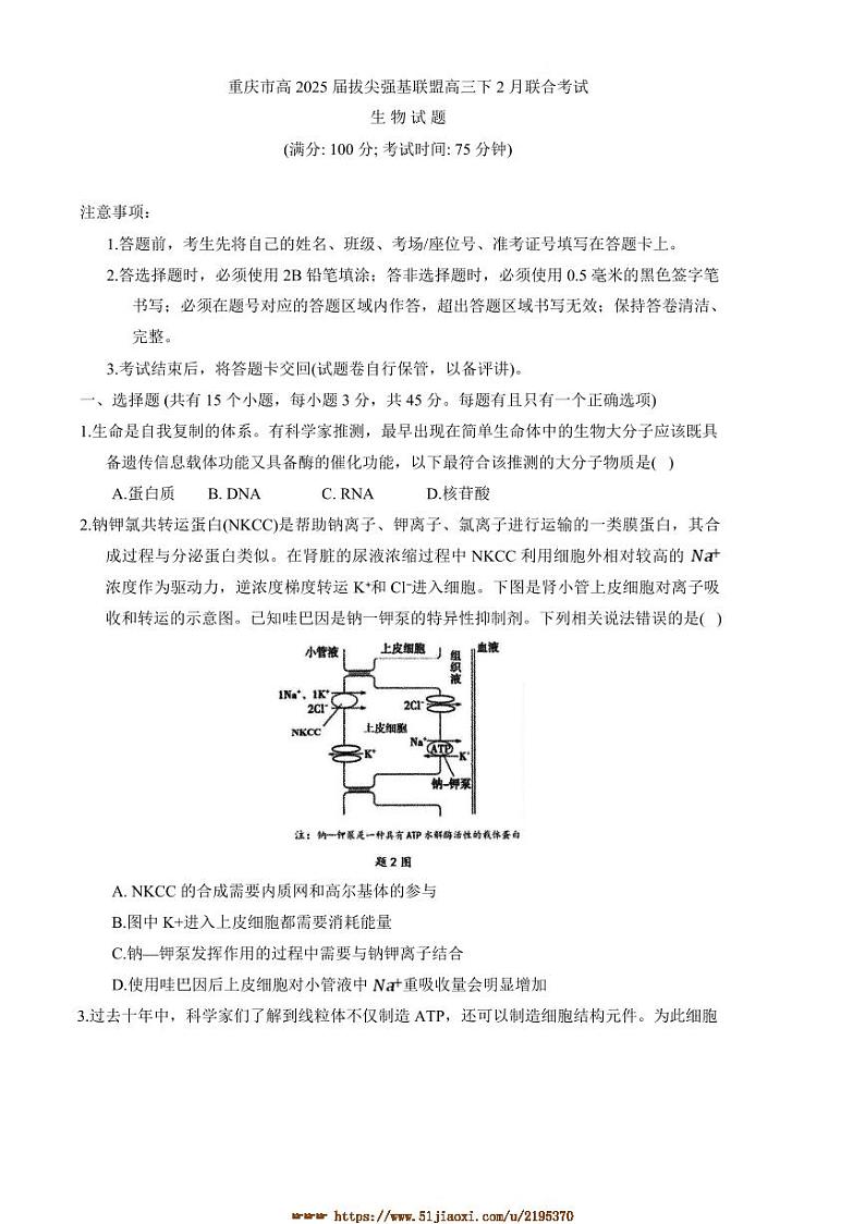 2024～2025学年重庆市拔尖强基联盟高三下2月联合考试生物试卷(含答案)第1页