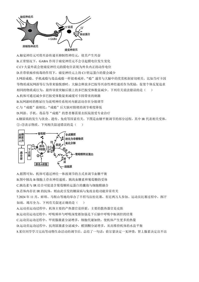 2024～2025学年安徽省阜阳市太和县学校高二下开学考试生物试卷(含解析)第2页