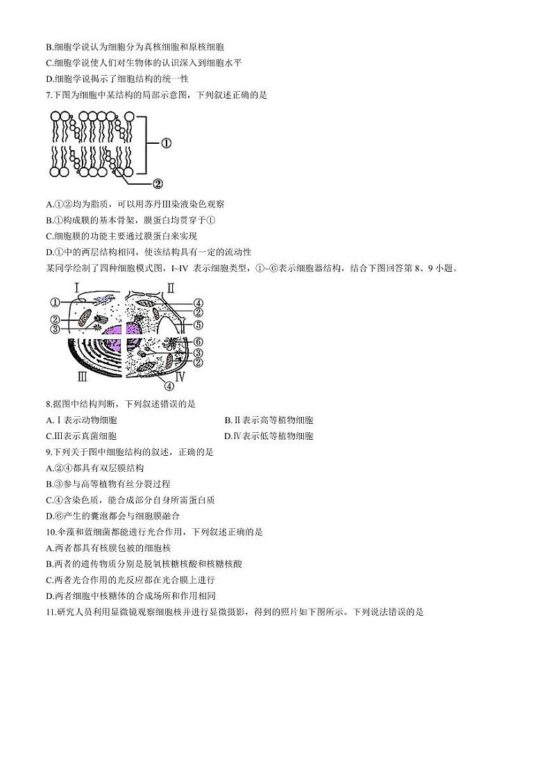 2024～2025学年浙江省浙南名校联盟高一下返校联考(月考)生物试卷(含答案)第2页