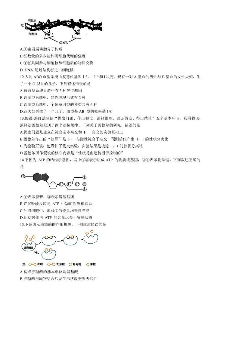 2024～2025学年浙江省浙南名校联盟高一下返校联考(月考)生物试卷(含答案)第3页