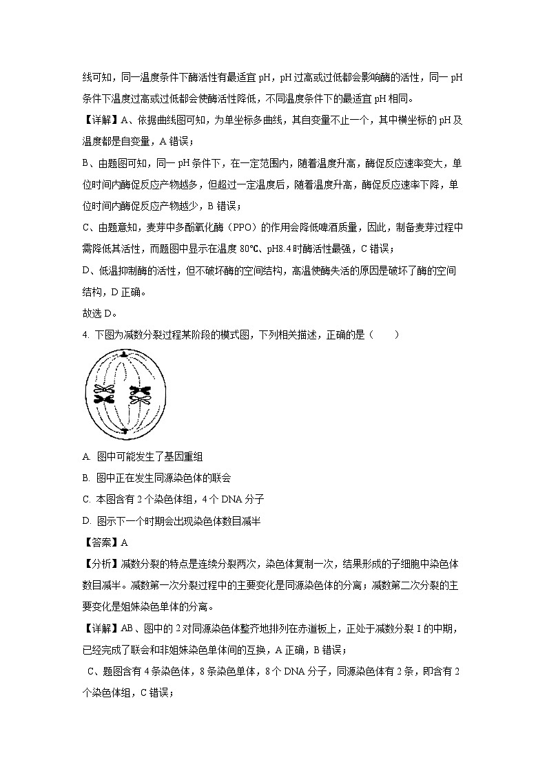 2025届河北省邯郸市高三第一次大联考模拟预测考试生物试卷（解析版）第3页