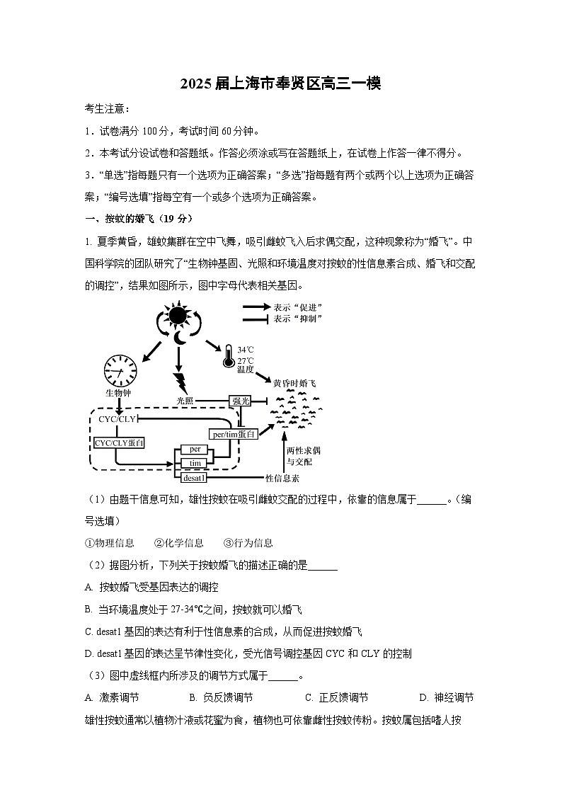 2025届上海市奉贤区高三一模生物试卷（解析版）第1页