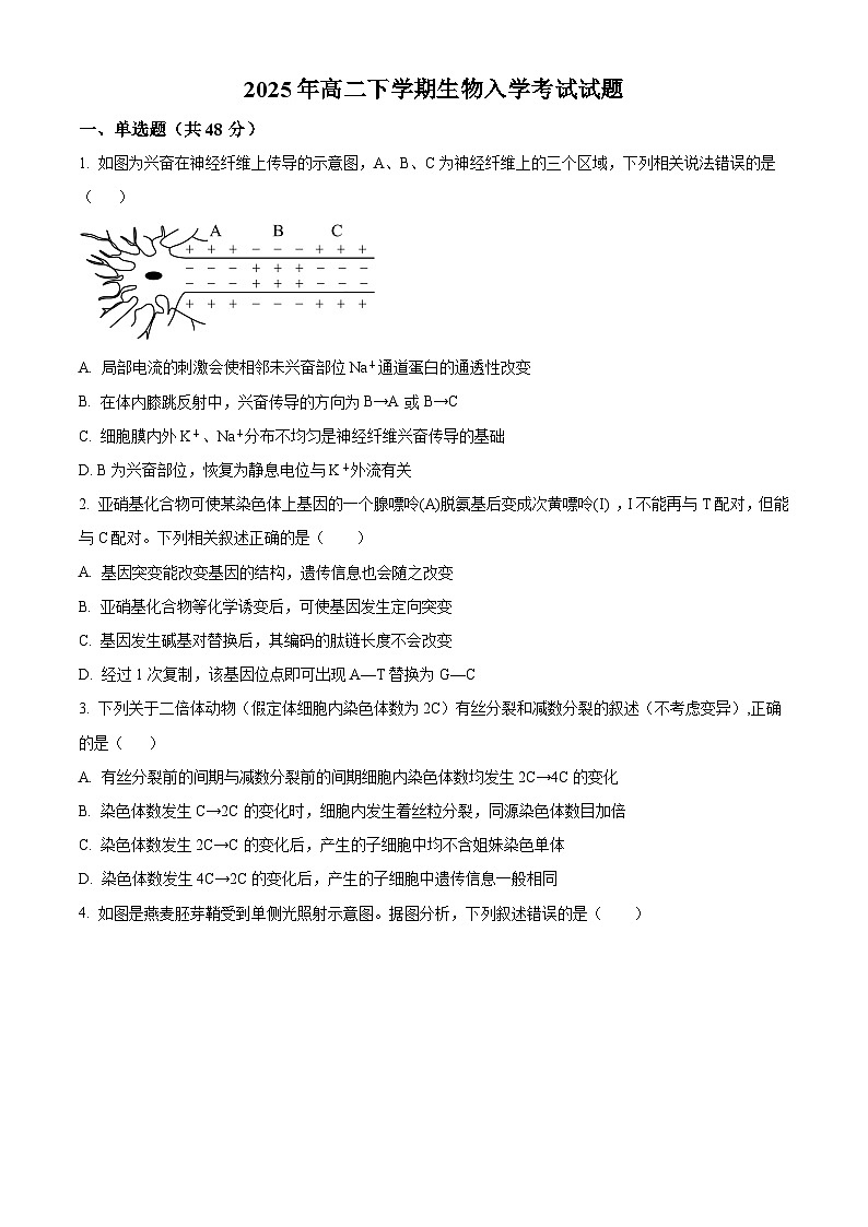 湖南省岳阳市汨罗市第一中学2024-2025学年高二下学期开学考试生物试题（原卷版）第1页