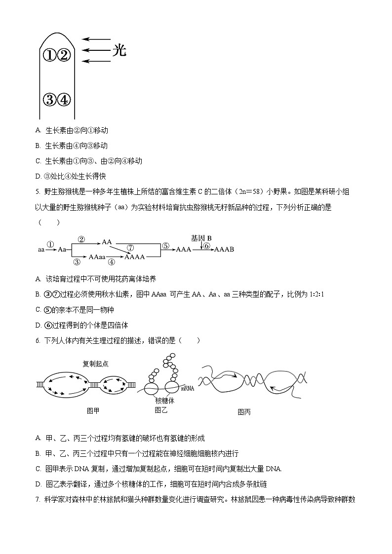 湖南省岳阳市汨罗市第一中学2024-2025学年高二下学期开学考试生物试题（原卷版）第2页