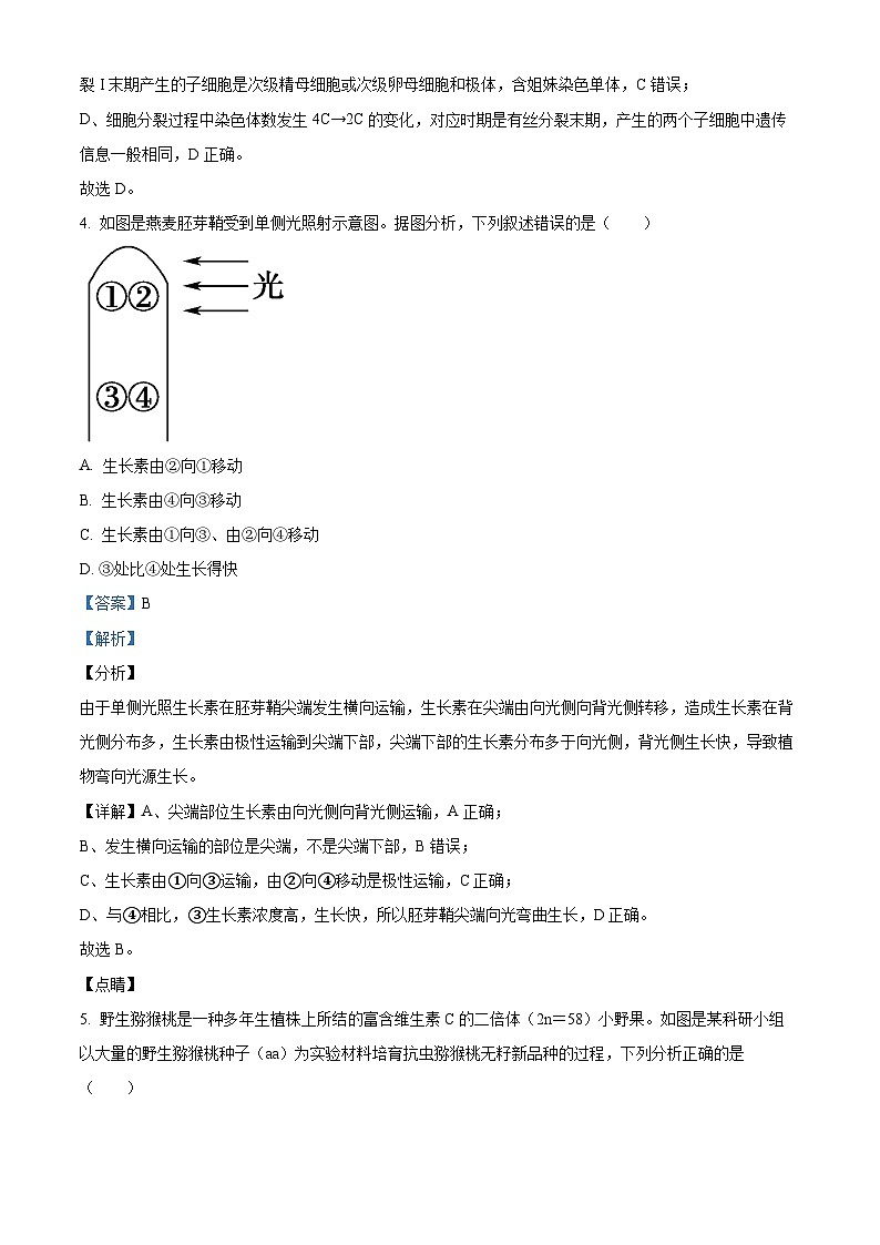 湖南省岳阳市汨罗市第一中学2024-2025学年高二下学期开学考试生物试题 Word版含解析第3页