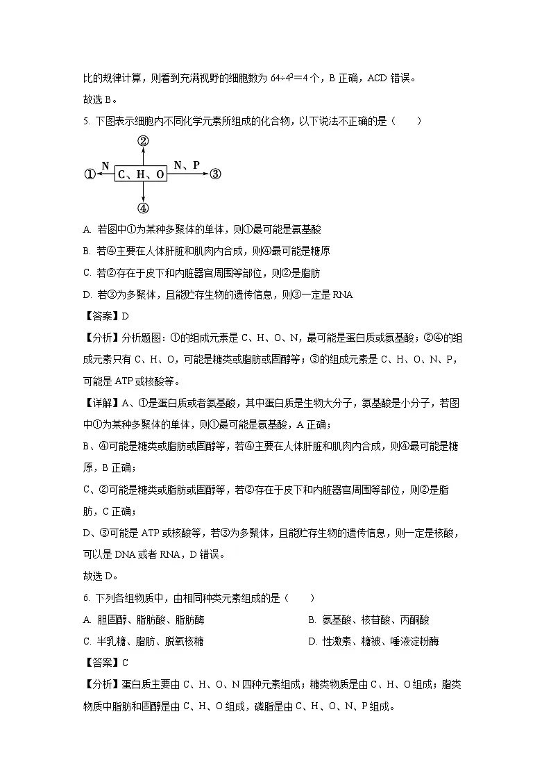 宁夏回族自治区青铜峡市宁朔中学2024-2025学年高一(上)期末生物试卷（解析版）第3页