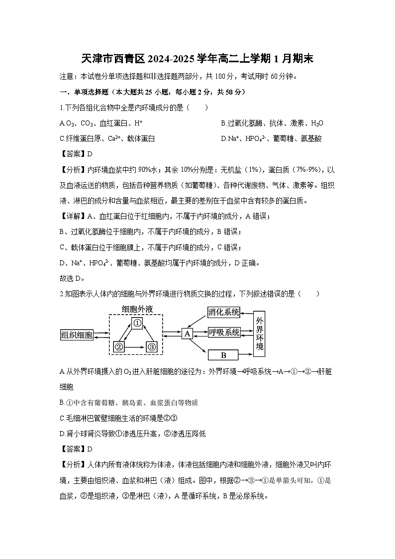 天津市西青区2024-2025学年高二(上)1月期末生物试卷（解析版）第1页