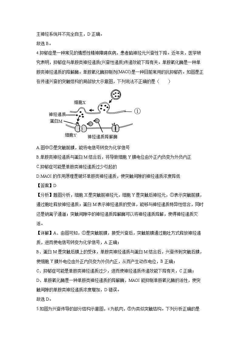 天津市西青区2024-2025学年高二(上)1月期末生物试卷（解析版）第3页