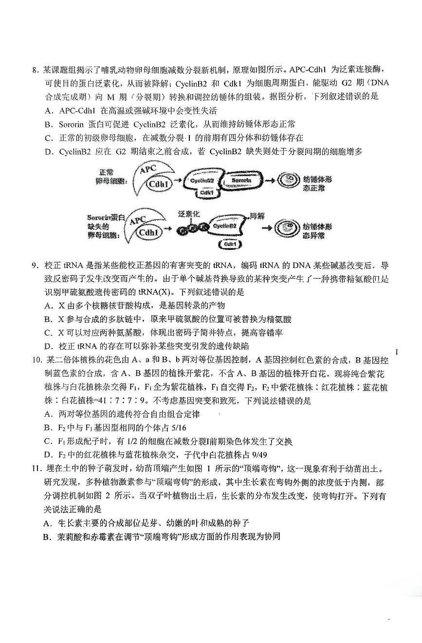 东北师大附中2025届高三下学期期初考试-生物试题+答案第3页