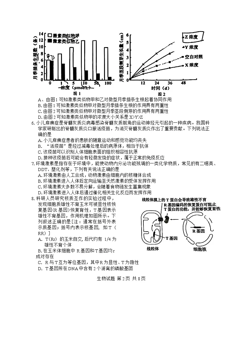 广东省惠州市2025届高三第三次调研考试（惠州三调）生物学试题（含答案）第2页
