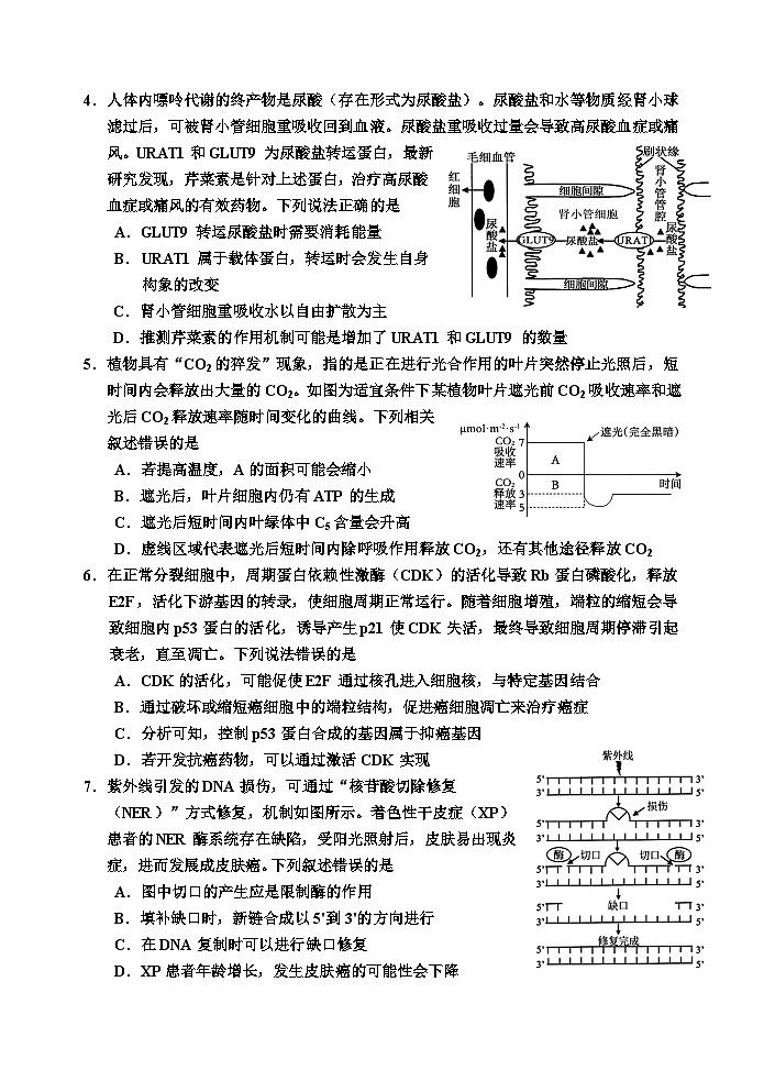 2025届 生物二模 第2页