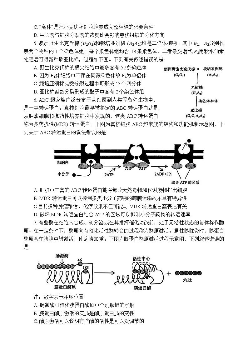 云南省红河州、文山州2025届高中毕业生第一次复习统一检测生物第2页