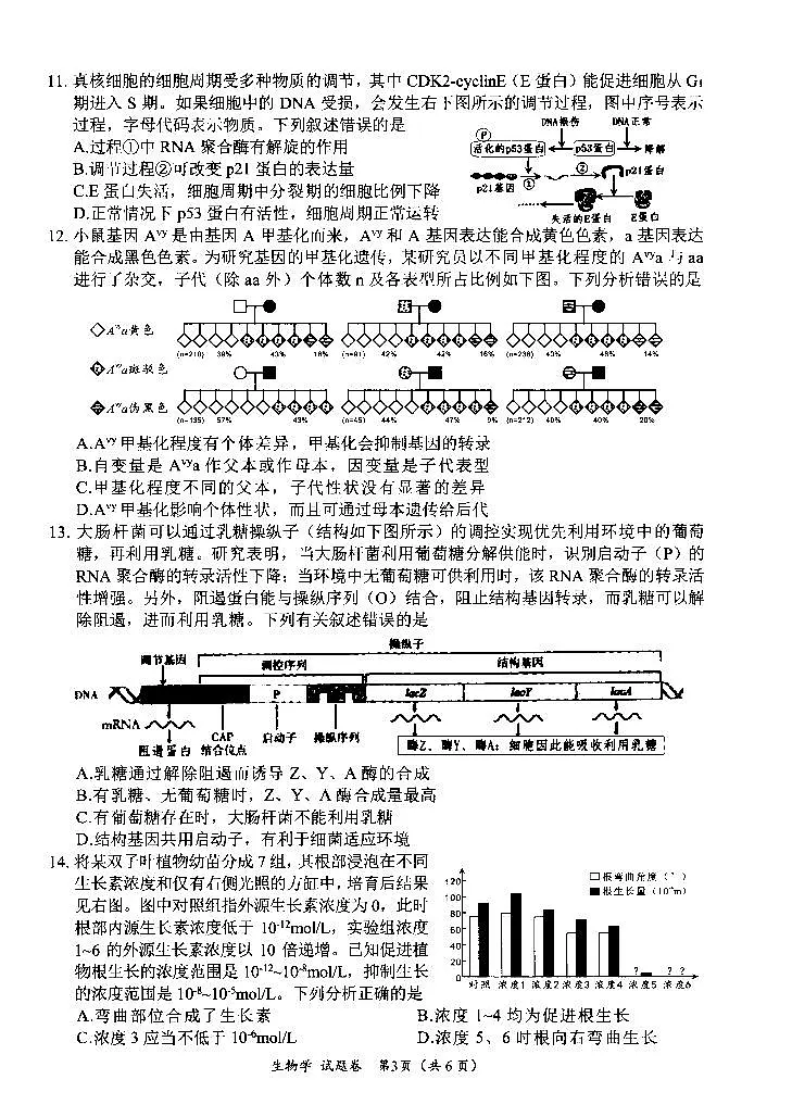 四川省绵阳市高中2022级第二次诊断性考试生物第3页