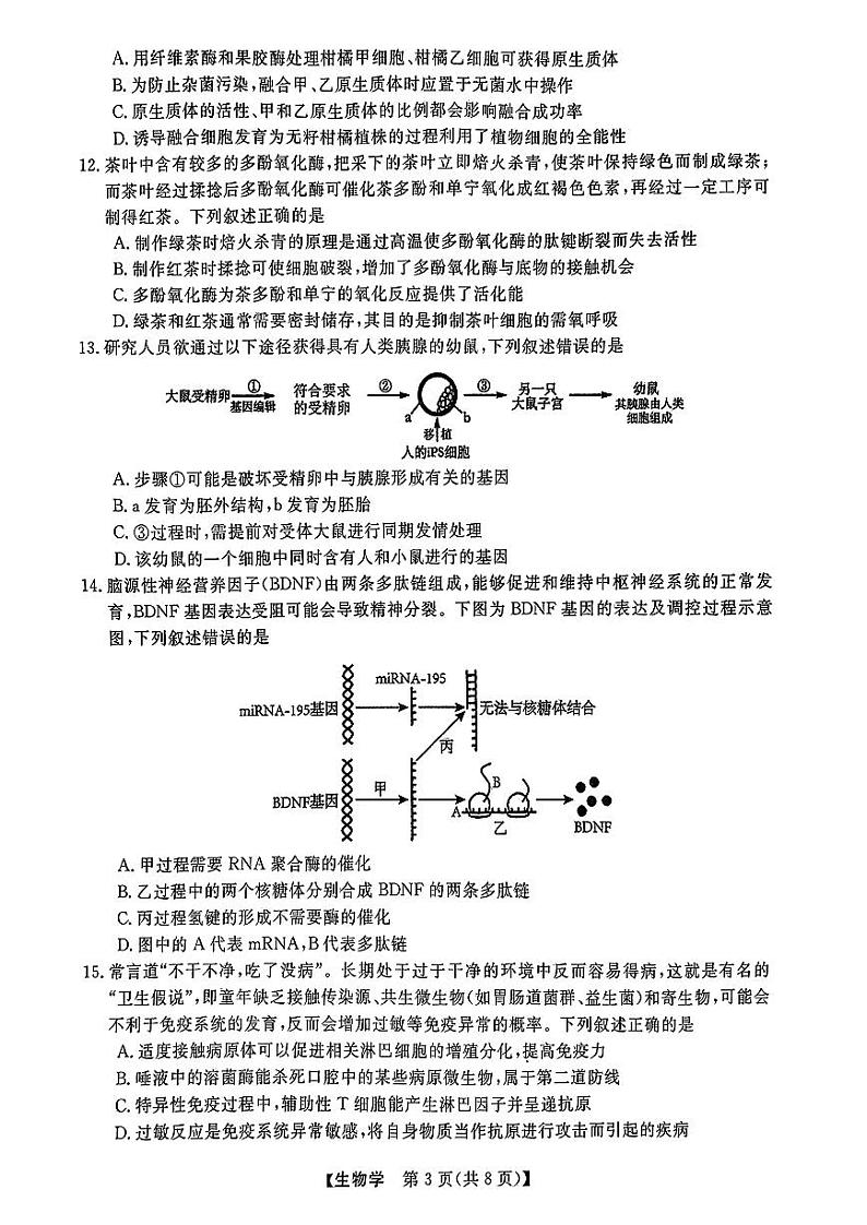 生物试题｜强基联盟第3页