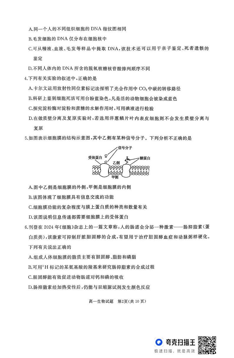 作业美化_高一生物试题第2页