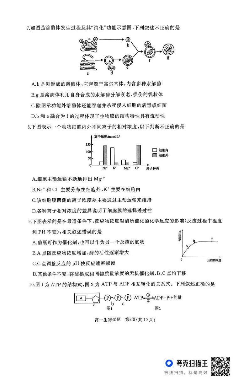 作业美化_高一生物试题第3页
