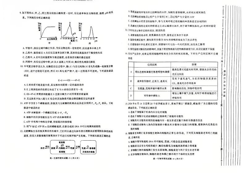 陕西省西安市新城区2024-2025学年高一上学期1月期末考试生物试卷（PDF版附答案）第2页