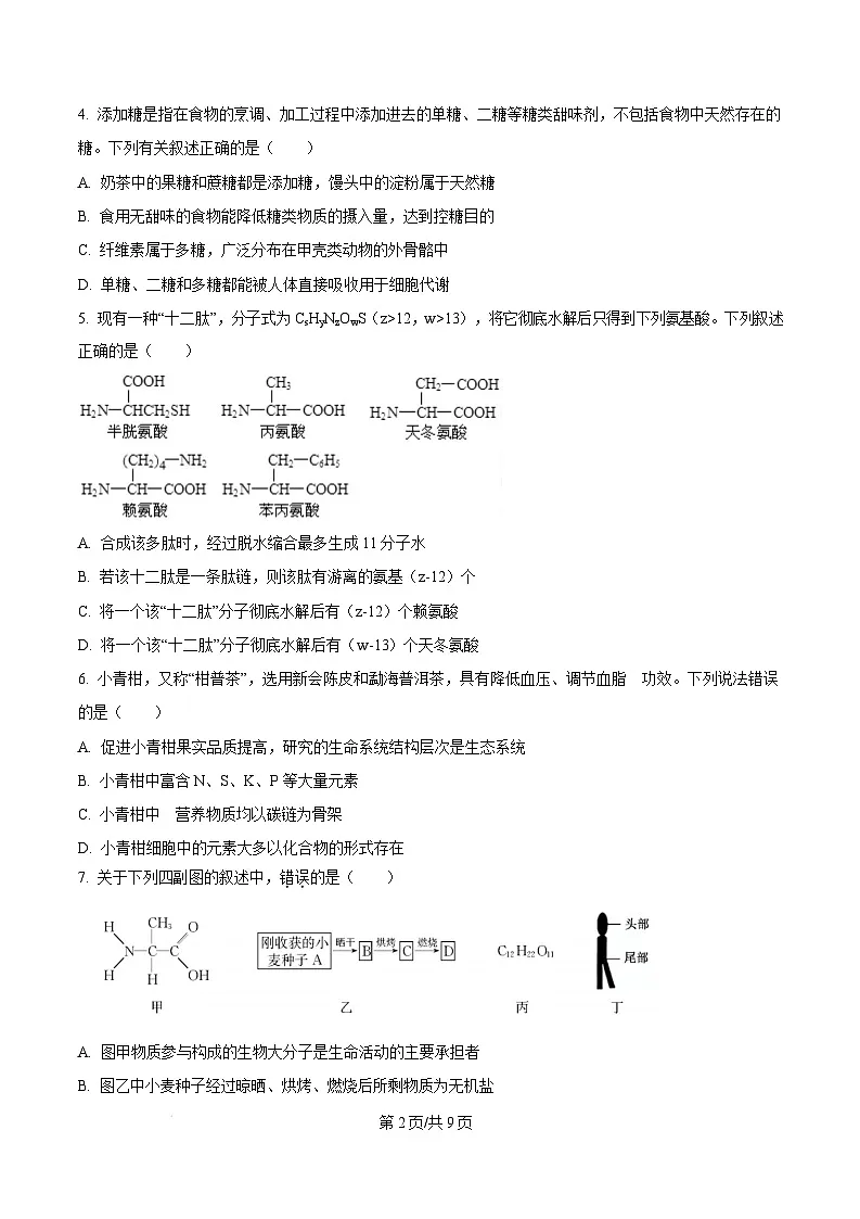 广东省阳江市高新区2024-2025学年高一上学期1月期末生物试题 Word版无答案第2页