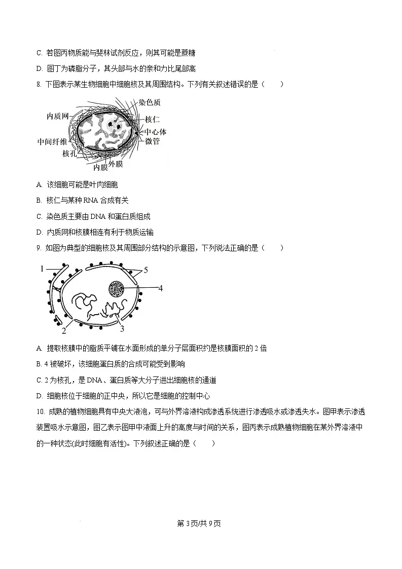 广东省阳江市高新区2024-2025学年高一上学期1月期末生物试题 Word版无答案第3页